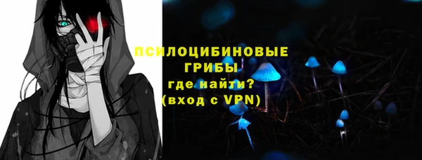дмт Абаза