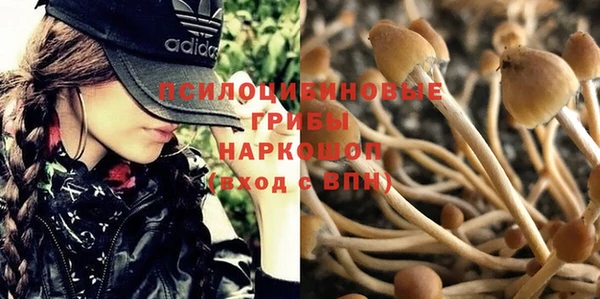 крисы Абинск