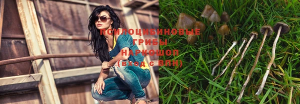 ешки Алзамай