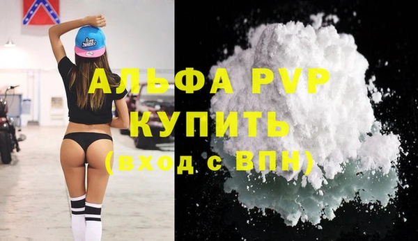 дмт Абаза