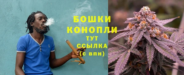 спиды Осинники